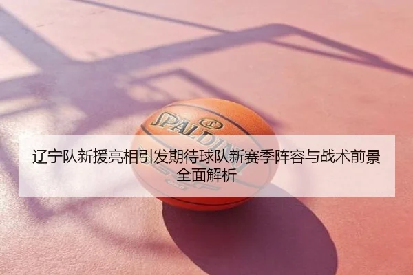 辽宁队新援亮相引发期待球队新赛季阵容与战术前景全面解析