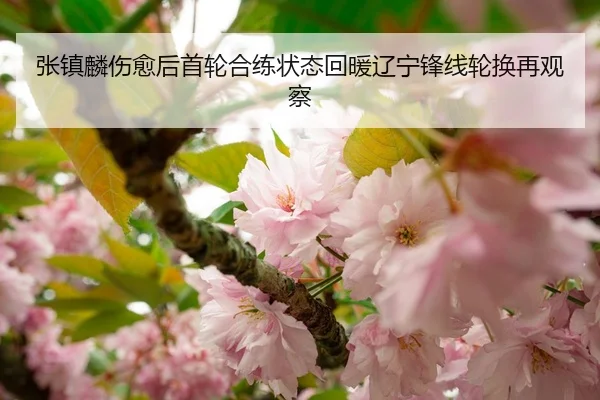 张镇麟伤愈后首轮合练状态回暖辽宁锋线轮换再观察