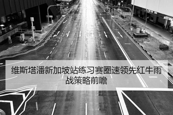 维斯塔潘新加坡站练习赛圈速领先红牛雨战策略前瞻