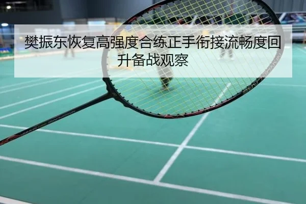 樊振东恢复高强度合练正手衔接流畅度回升备战观察
